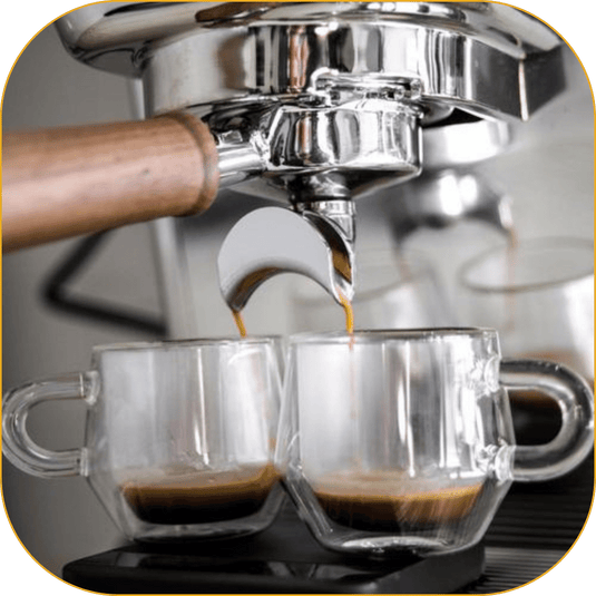 Professional-Grade Portafilter