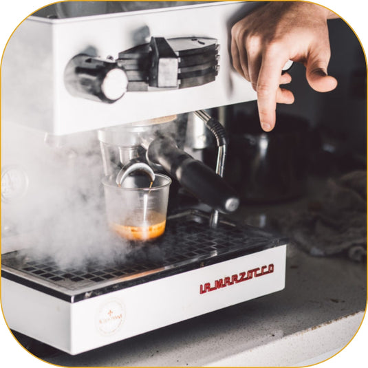 La Marzocco Linea Mini Espresso Machine