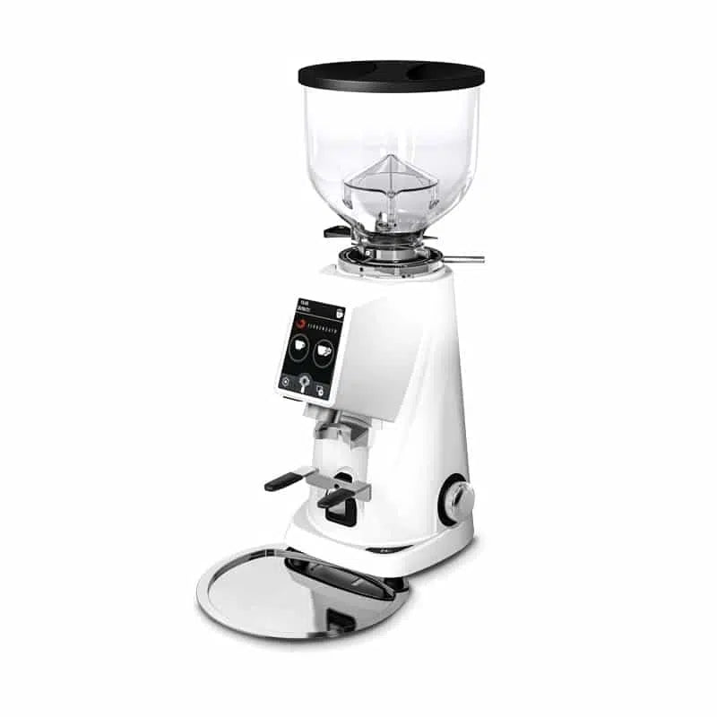 Load image into Gallery viewer, Fiorenzato F4 Evo Coffee Grinder