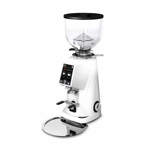 Fiorenzato F4 Evo Coffee Grinder