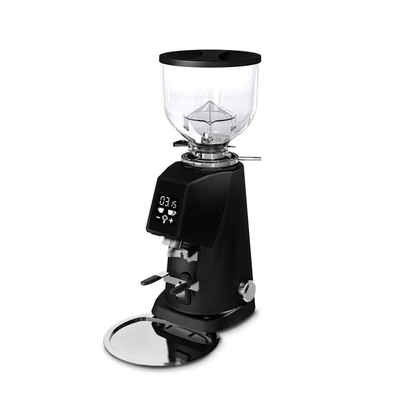 Load image into Gallery viewer, Fiorenzato F4 Evo Coffee Grinder
